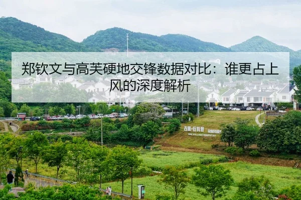 郑钦文与高芙硬地交锋数据对比：谁更占上风的深度解析